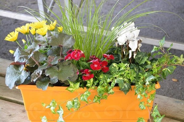 Jardinières : une solution parfaite pour un jardinage urbain réussi