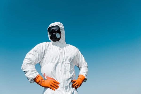 Dératisation, acariens, punaises de lit : solutions professionnelles